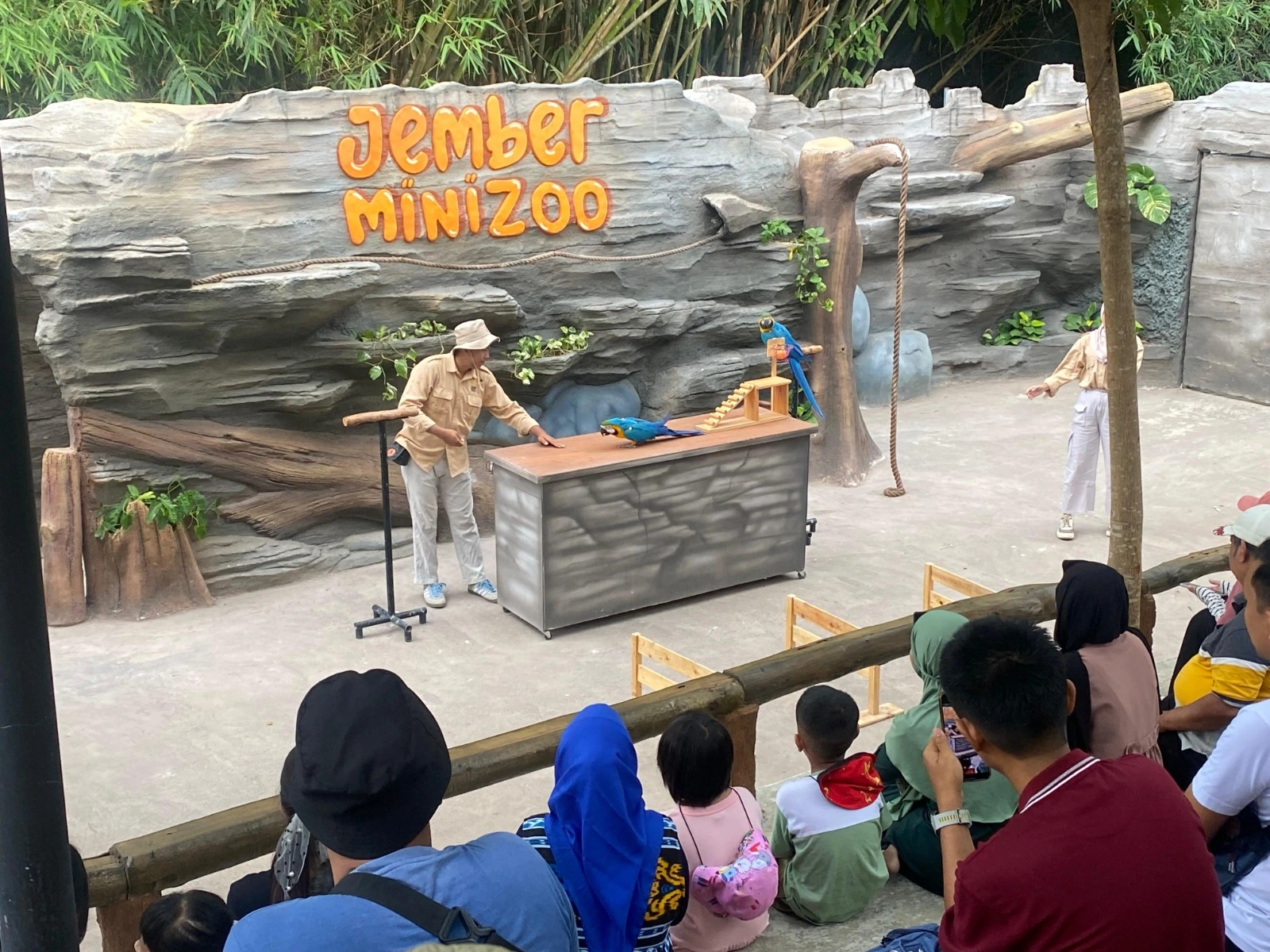 Animal keeper memberi instruksi pada satwa terlatih