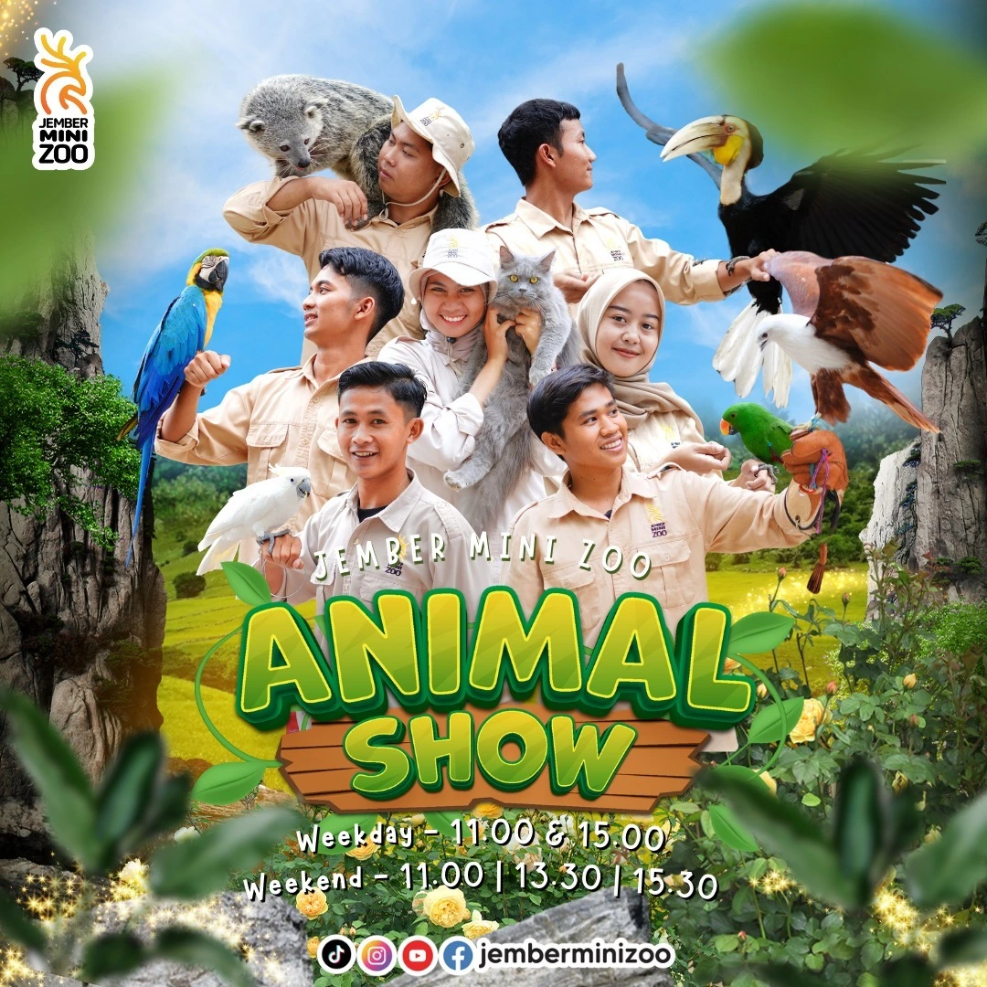 Jadwal Animal Show Jember Mini Zoo
