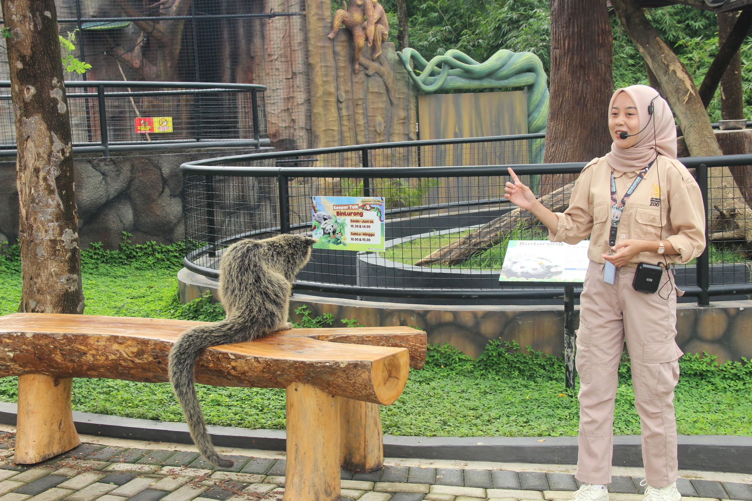 Keeper Talk satwa Binturong di Jember Mini Zoo