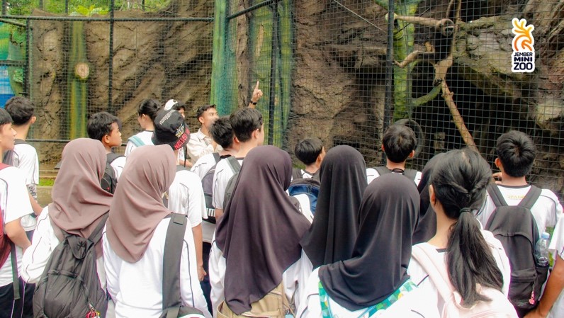 Program eduwisata pelajar sekolah di Jember Mini Zoo