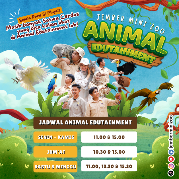 Jadwal Animal Edutaiment