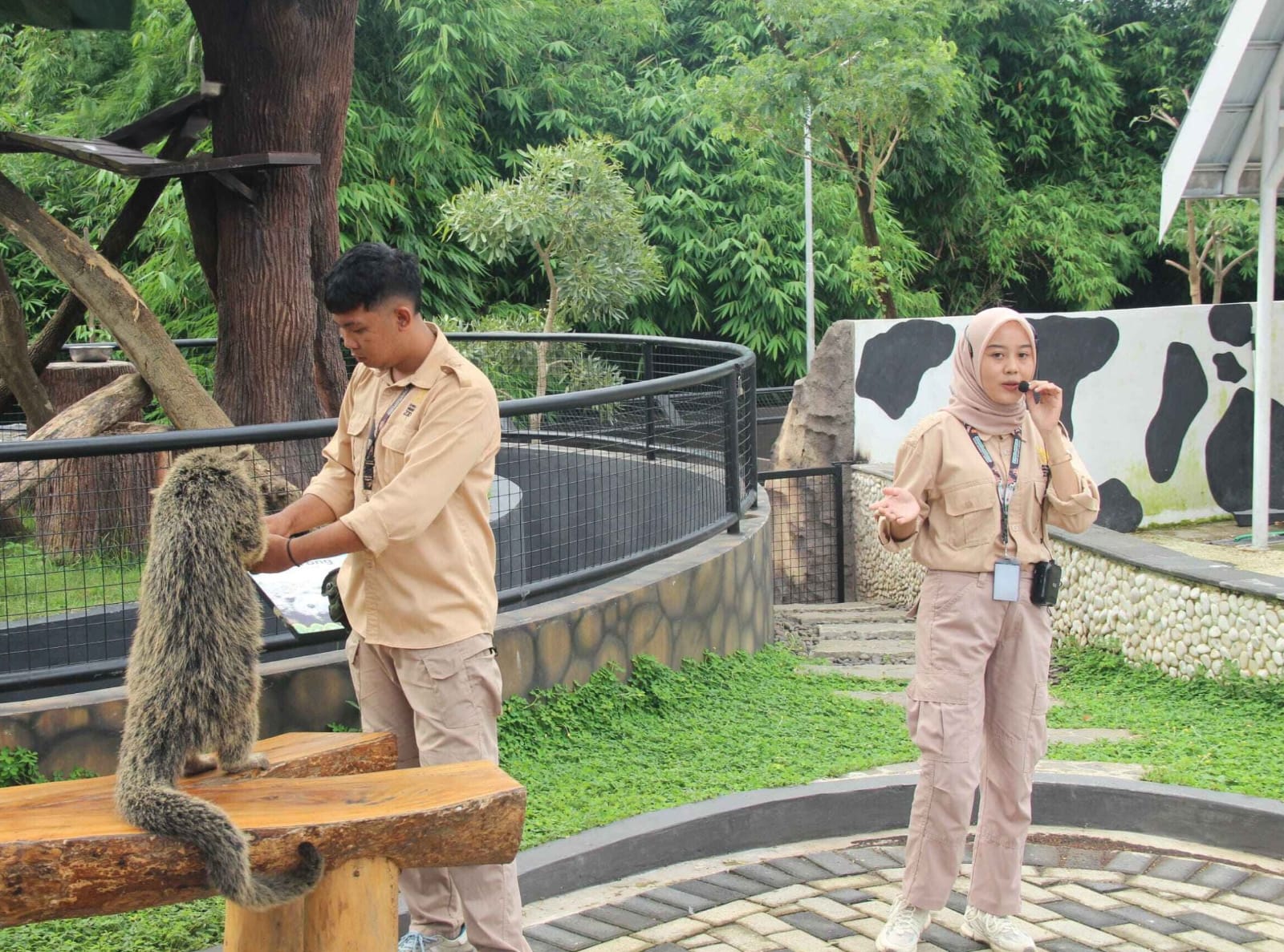 Meningkatkan Pengalaman Pengunjung Jember Mini Zoo  dengan Keeper Talk dan Animal Interaction