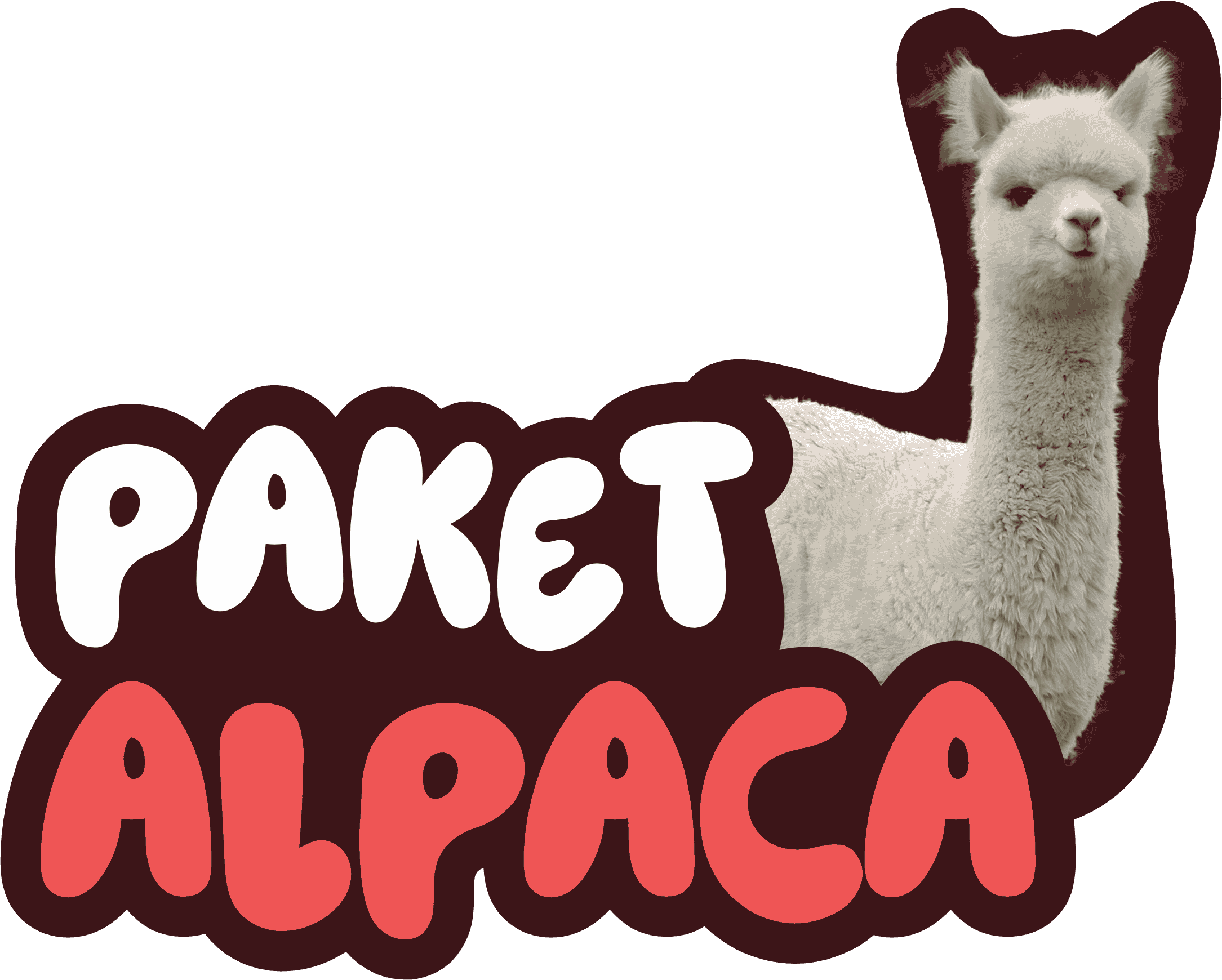 Paket Alpaca