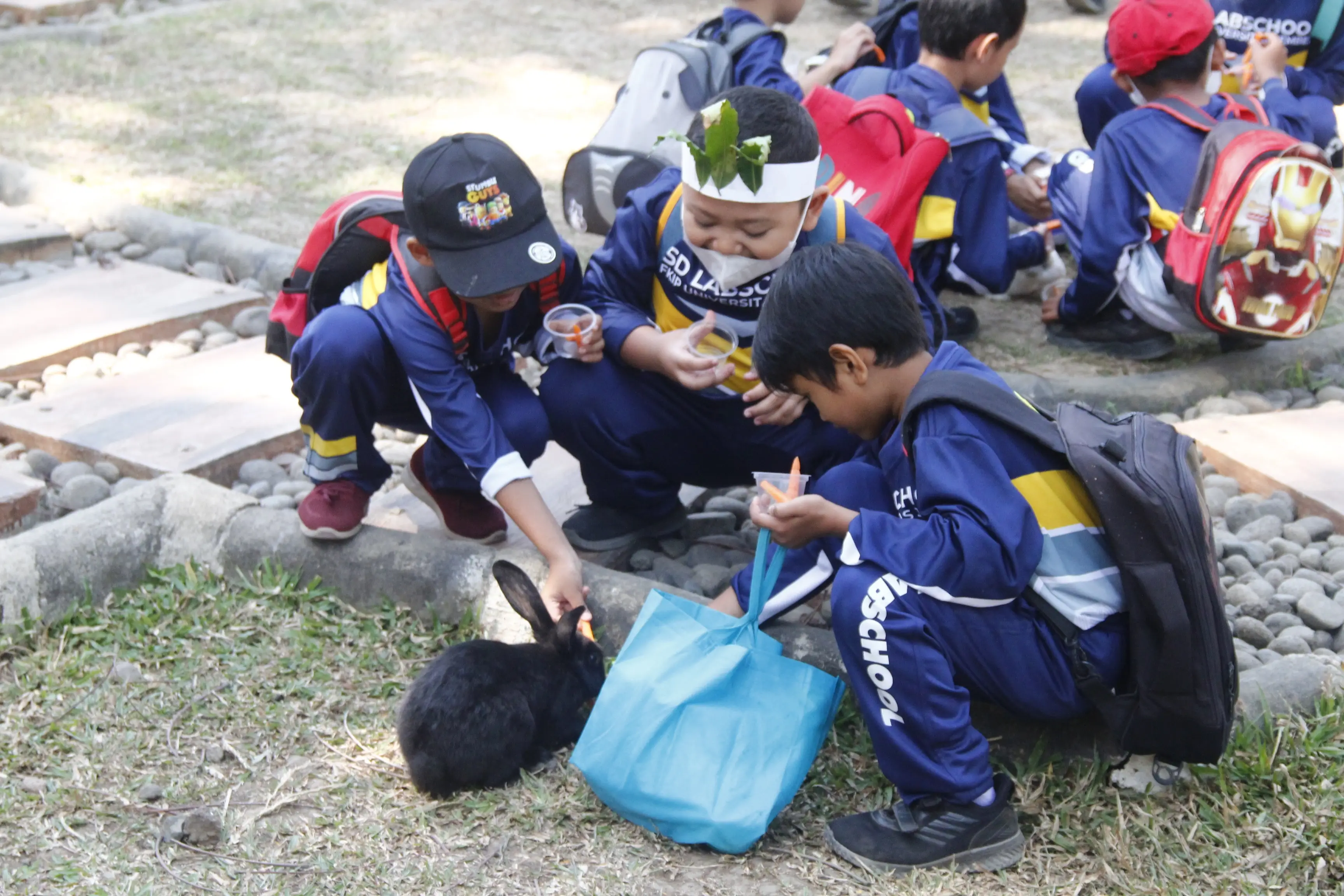 Paket Kegiatan Eduwisata di Jember Mini Zoo: Menyelami Dunia Satwa untuk Sekolah